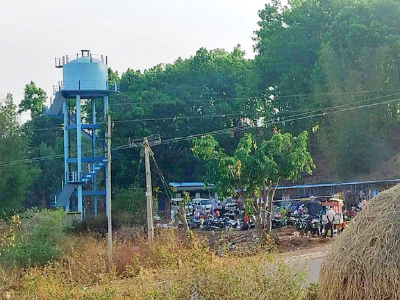 साप्ताहिक बाजार में मधुमक्खियों का हमला, कई जख्मी