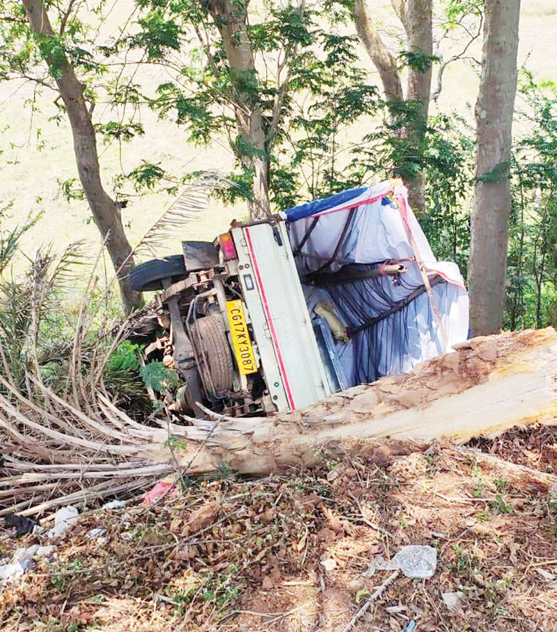 रफ्तार पिकअप ने स्कूटी को मारी टक्कर, पेड़ से जा टकराई