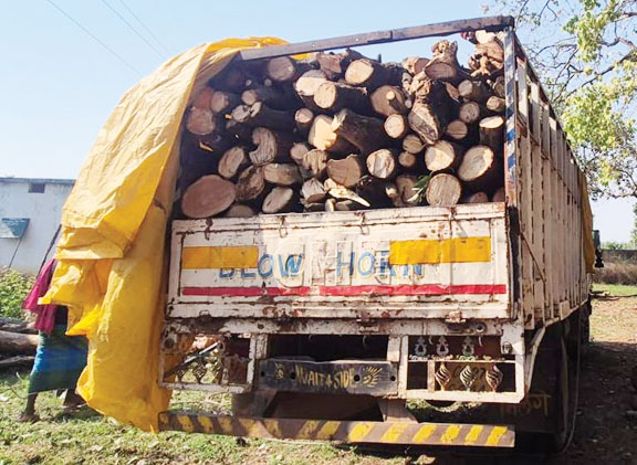 वाहन समेत भारी मात्रा में जलाऊ लकड़ी जब्त