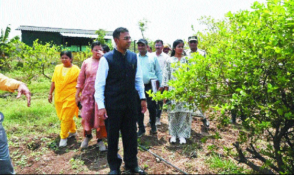 कलेक्टर ने कृषि विज्ञान केन्द्र का किया निरीक्षण