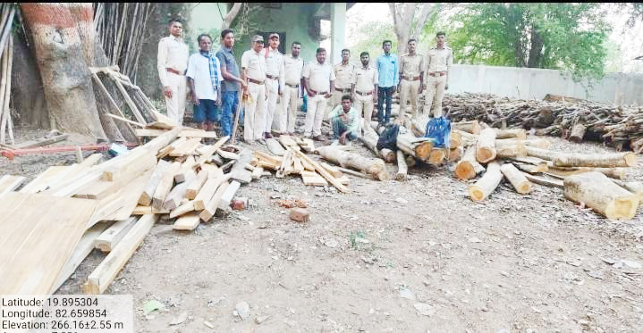 सरगीगुड़ा में छापे: डेढ़ लाख  की सागौन लकड़ी जब्त