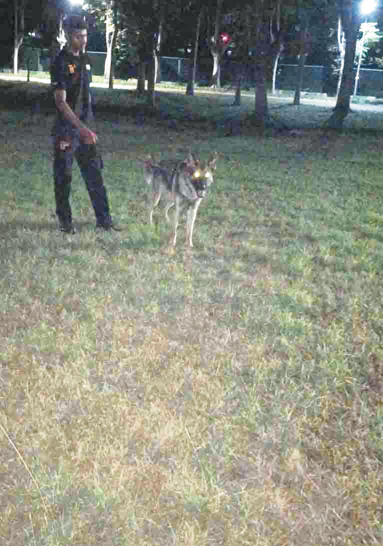 कॉलोनी के पास दिखा तेंदुआ..!