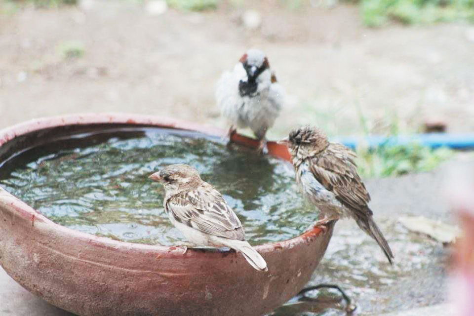 गर्मी से फिलहाल कोई राहत नहीं