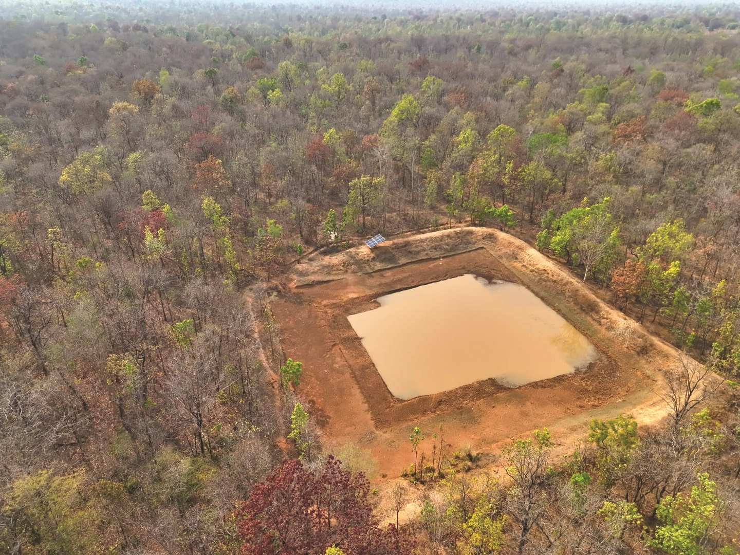 मानव-वन्यजीव संघर्ष पर यूएसटीआर की बड़ी पहल