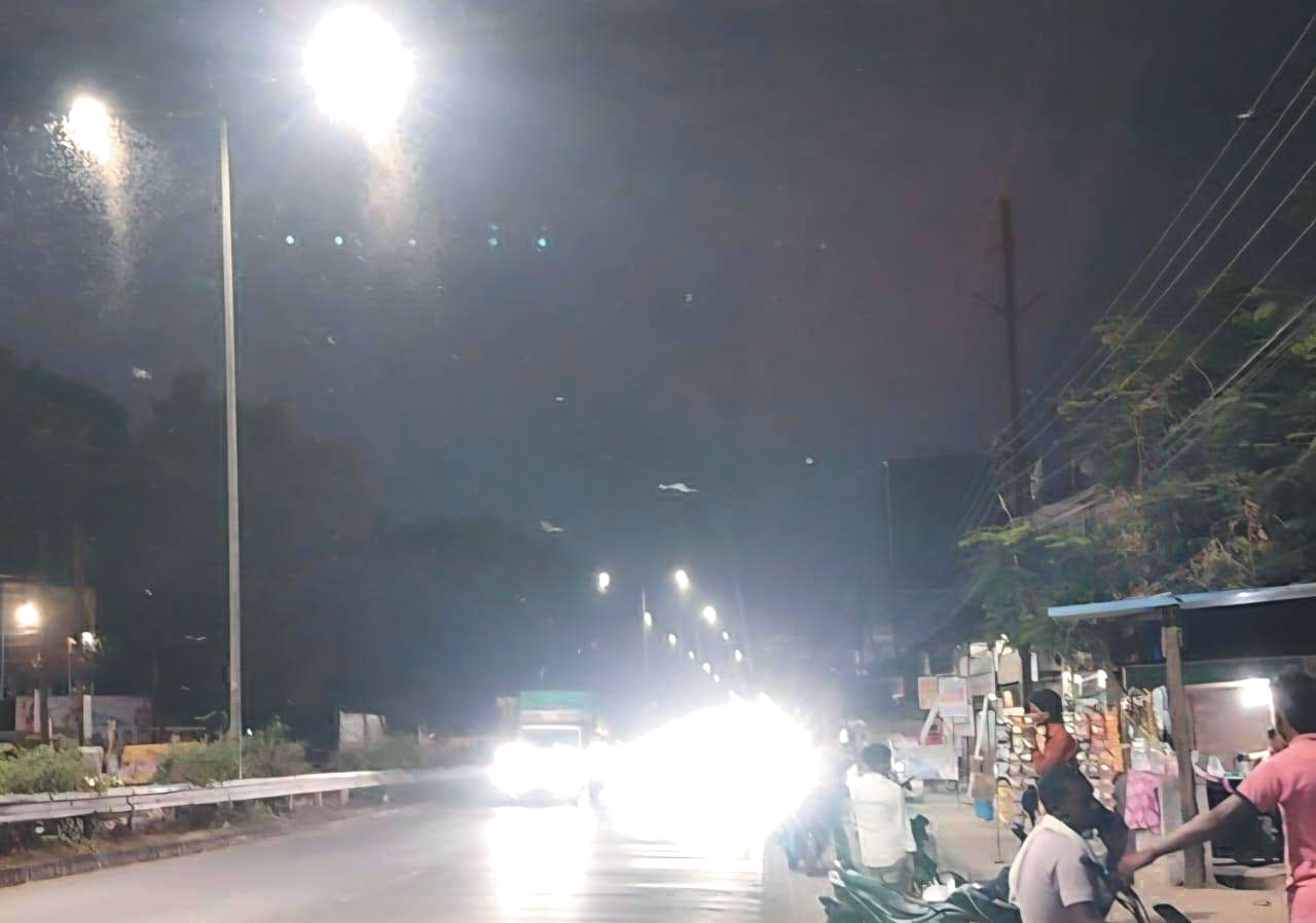 स्ट्रीट लाइट पर उडऩे वाले कीट-पतंगों का प्रकोप