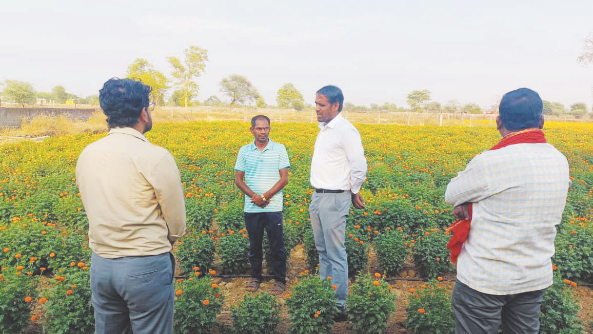 कलेक्टर ने किया कुरुद के गांवों का दौरा, विकास कार्यों को देखा