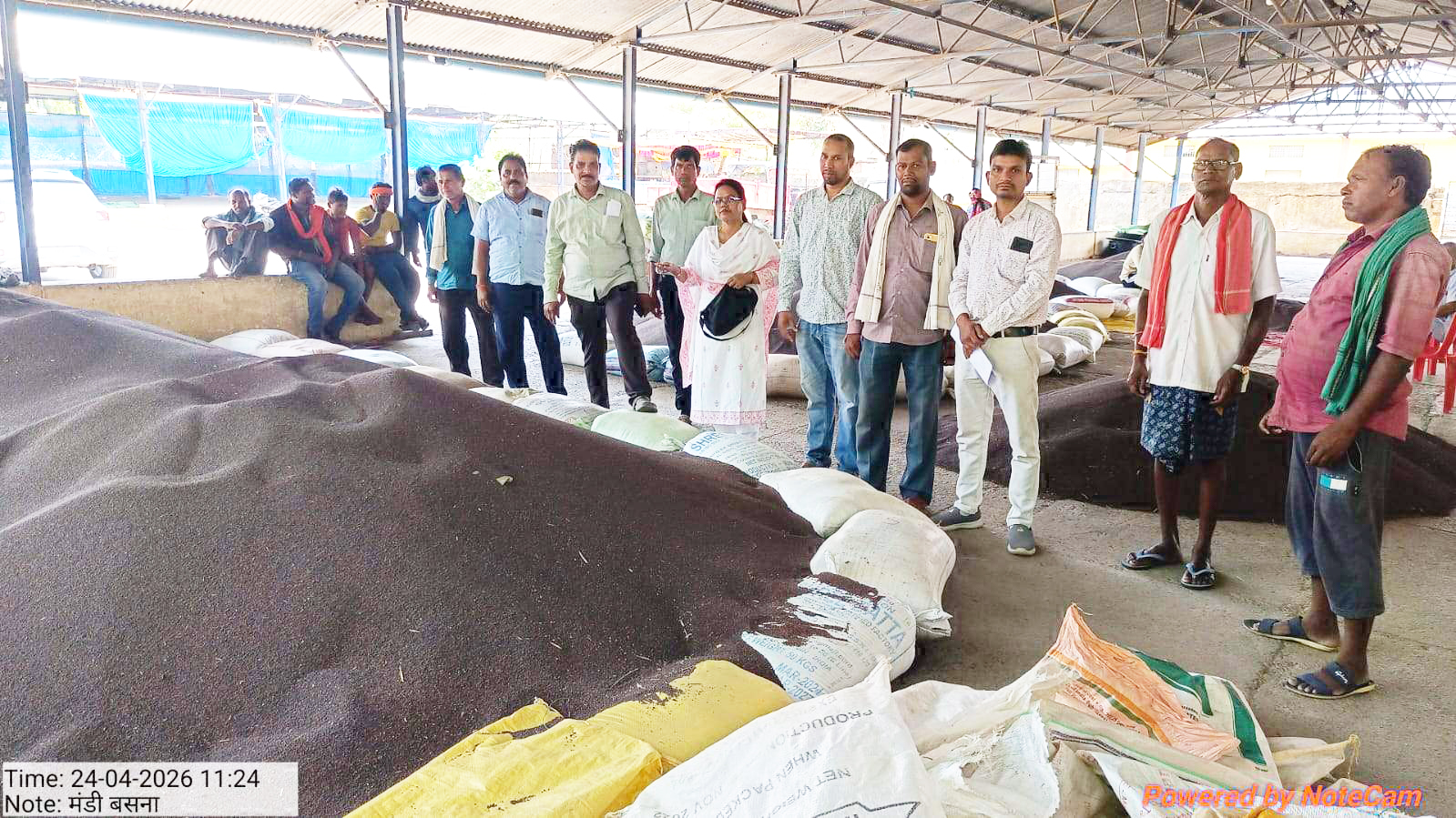 दलहन-तिलहन खरीदी जारी