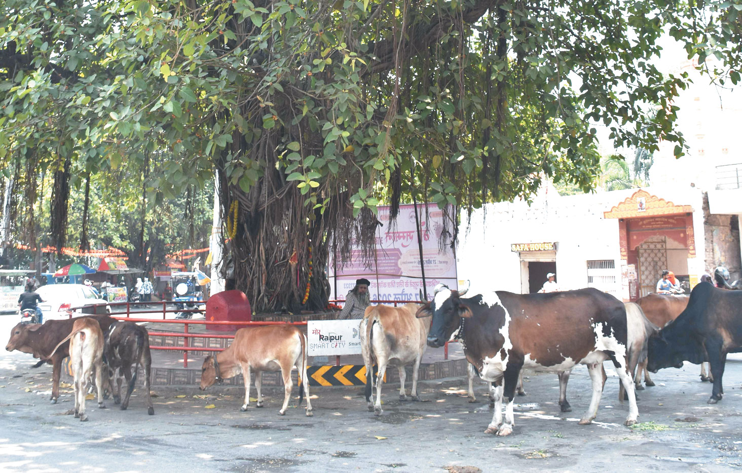 दक्षिण से हवा आ रही, कल से कुछ राहत