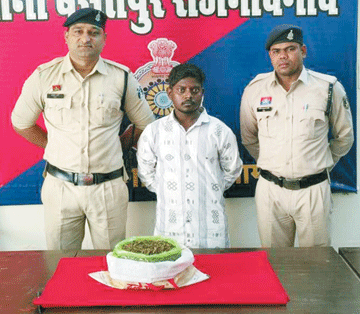 गांजा संग आरोपी गिरफ्तार