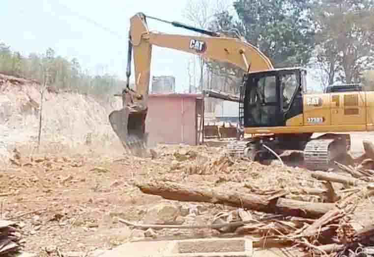 भारतमाला प्रोजेक्ट में सैकड़ों बेशकीमती पेड़ गायब! 