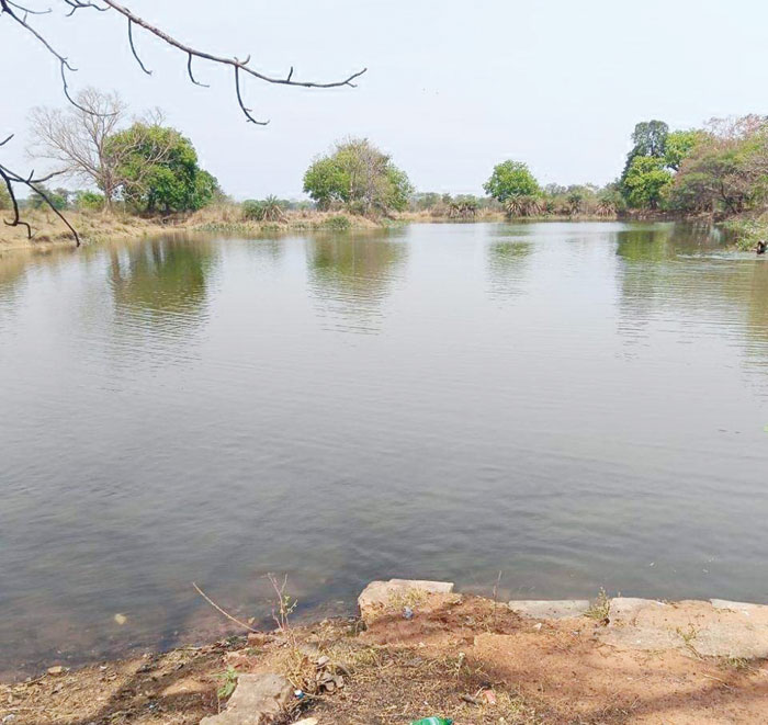 नहरों से सूखते 4755 तालाबों में जलभराव