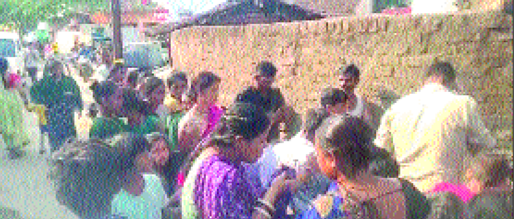 नाली में मिला नवजात का शव