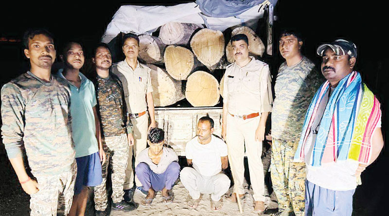 साल लट्ठा सहित पिकअप जब्त, दो आरोपी गिरफ्तार