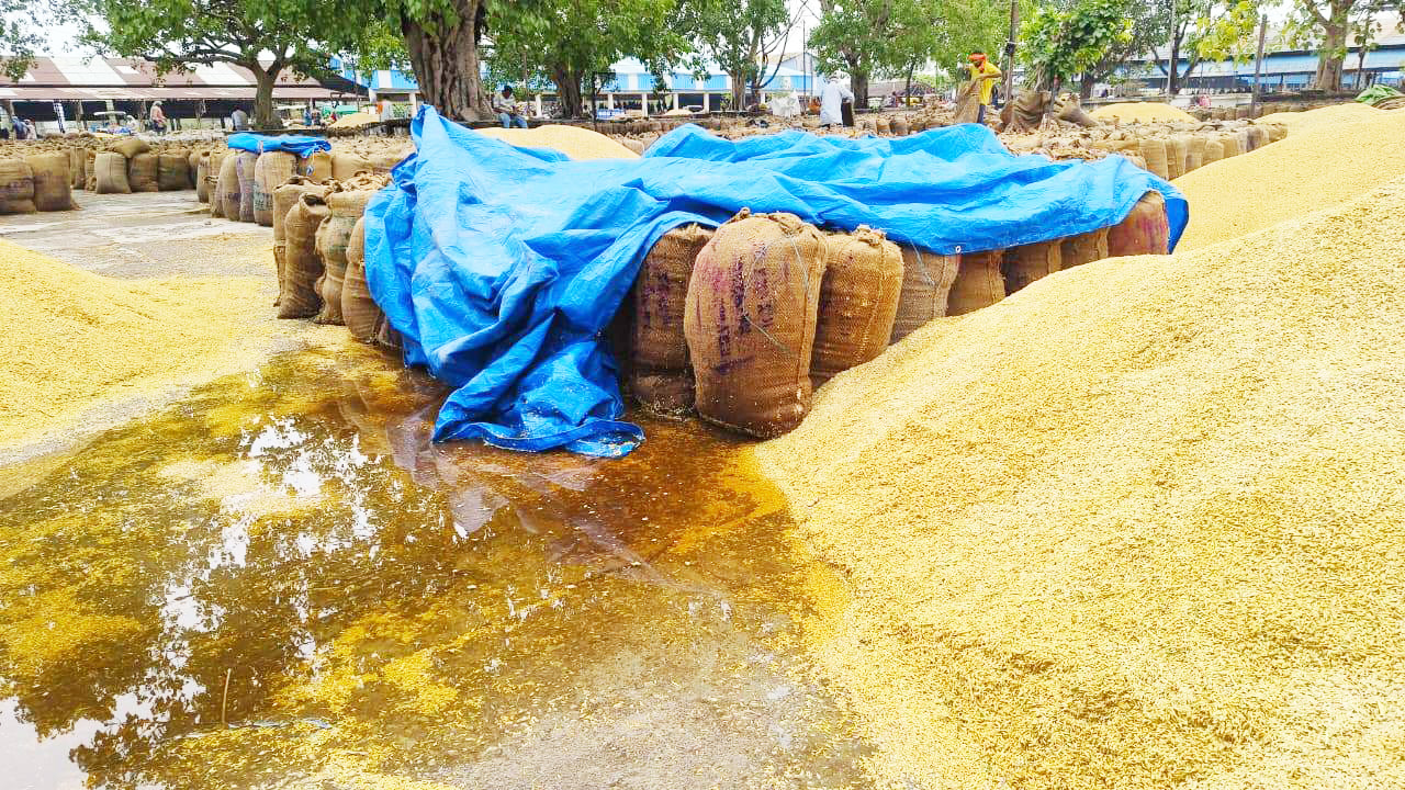 तपती गर्मी से मिली राहत,  तेज बारिश से लुढक़ा पारा  