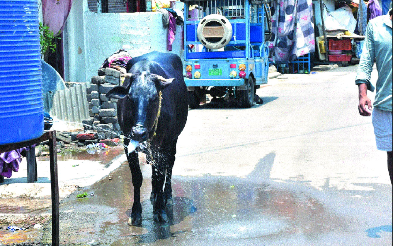 उमस से लोग परेशान, कई जिलों में शाम बारिश का अलर्ट
