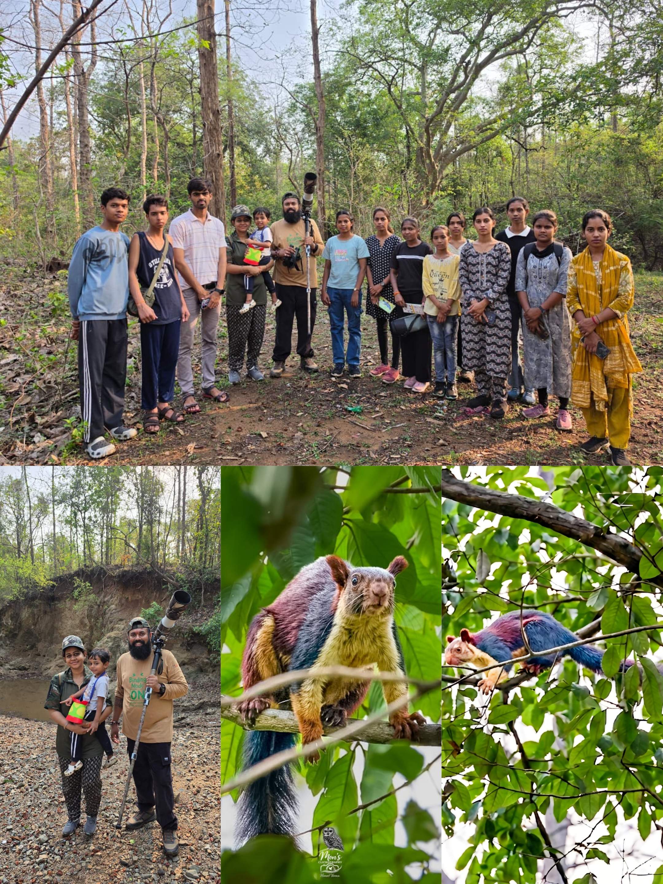बलौदाबाजार देवपुर जंगल में बर्डिंग ट्रेल के दौरान दिखी जायंट मालाबार स्क्विरल, बारनवापारा क्षेत्र की समृद्ध जैव विविधता का संकेत