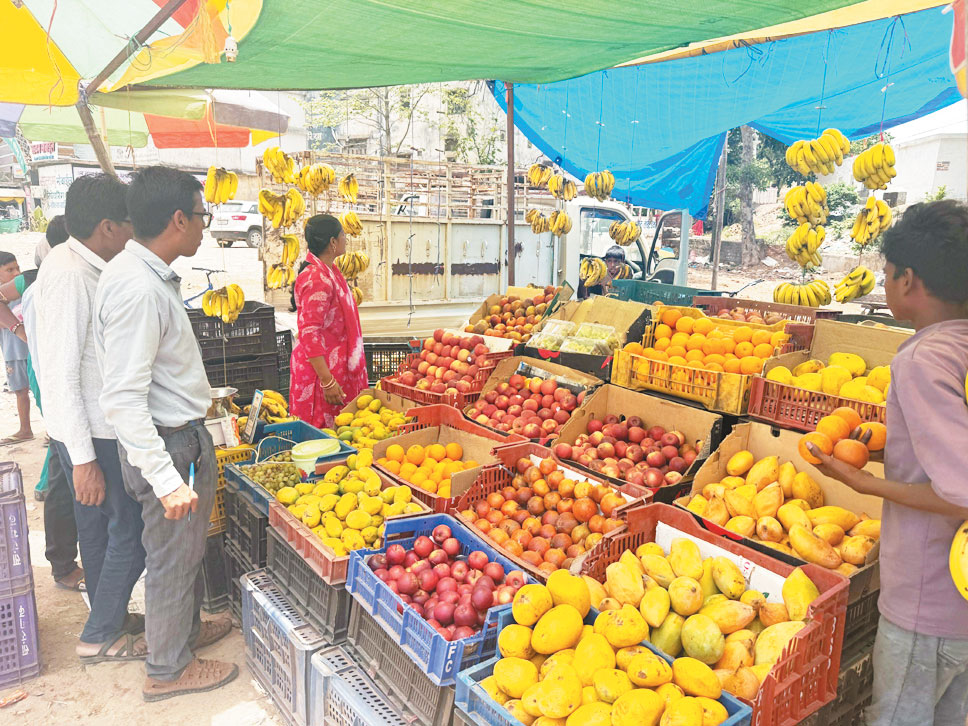 50 किलो सड़े गले फल को नष्ट कराया
