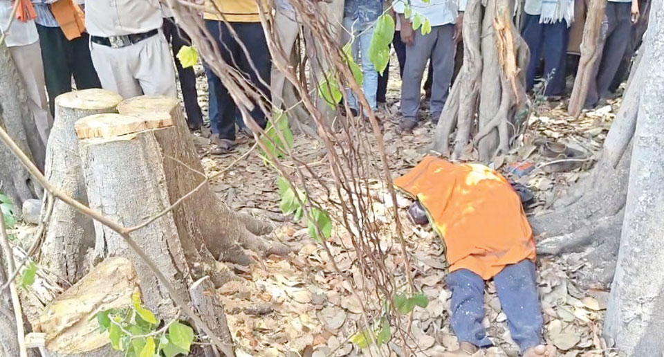 पेड़ काटने के दौरान डंगाली में दबने से ग्रामीण की मौत