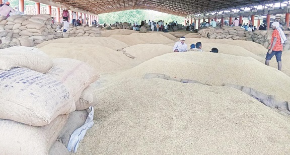 कुरुद मंडी में आवक बढ़ी, धान बेचने किसानों को करना पड़ रहा इंतजार