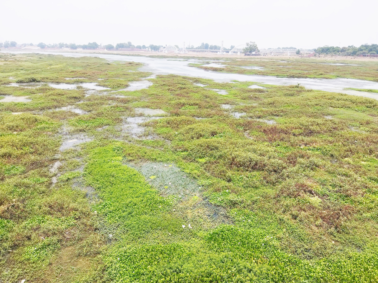 महानदी में गंदगी पर  नगरवासियों ने जताई चिंता 