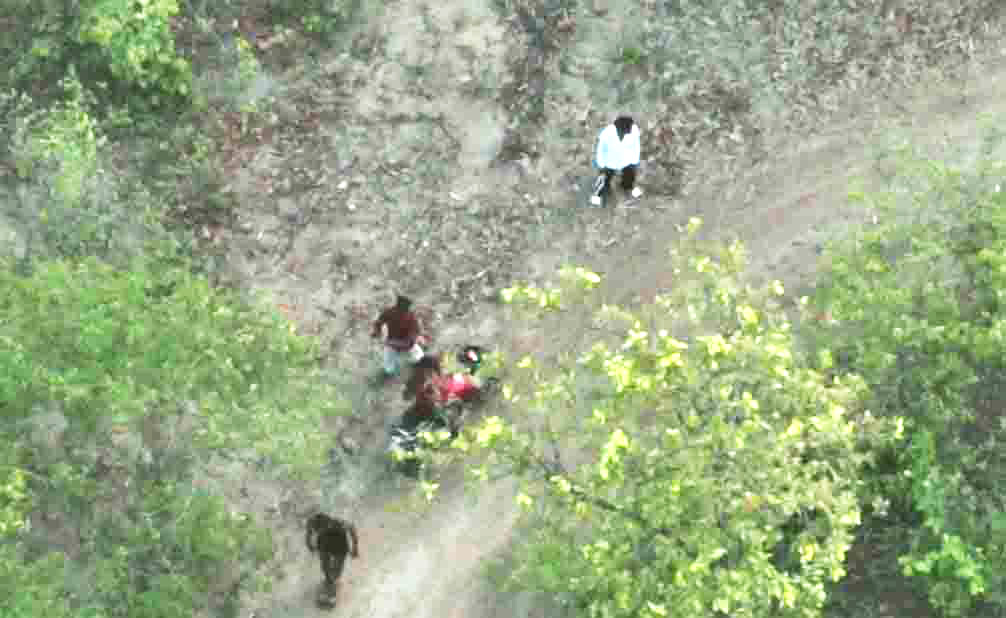 रील बनाने के चक्कर में जंगली हाथियों के करीब पहुंचा युवक