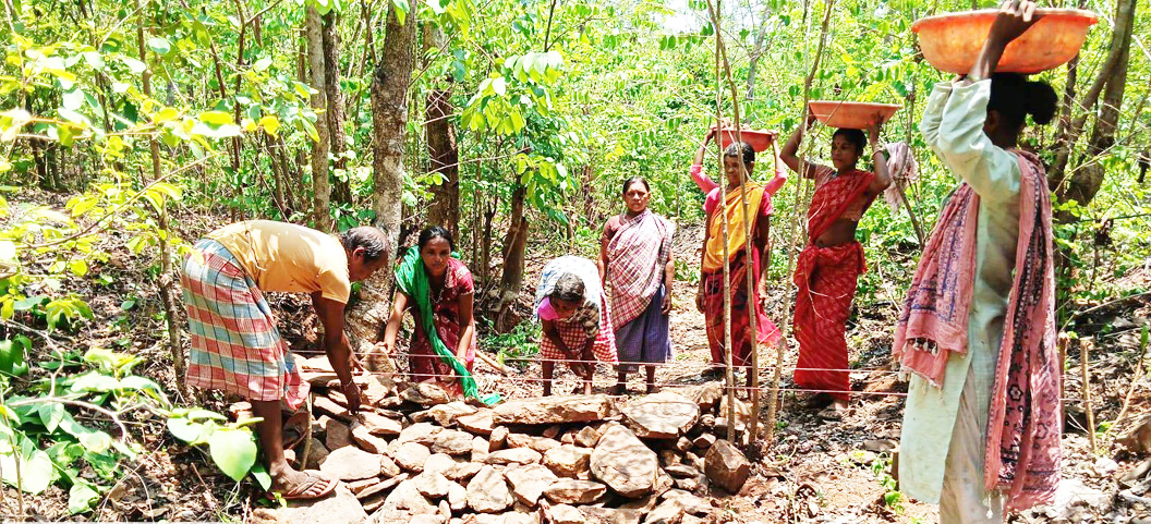 ‘मोर गांव, मोर पानी’ महाअभियान  पर्यावरण-जल संवर्धन अभियान तेज