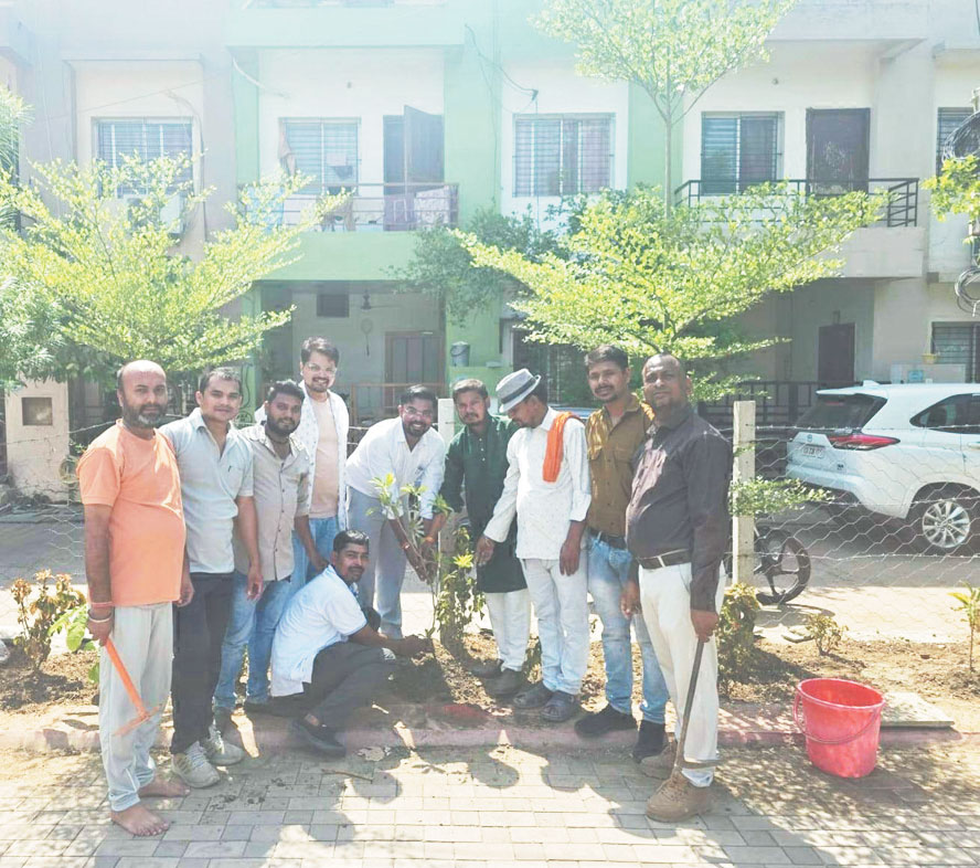 आईटी सेल प्रकोष्ठ ने किया पौधरोपण