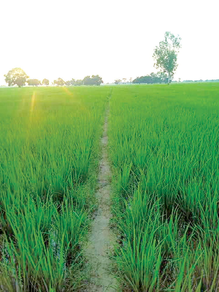 प्रकृति और पर्यावरण फोटो प्रदर्शनी