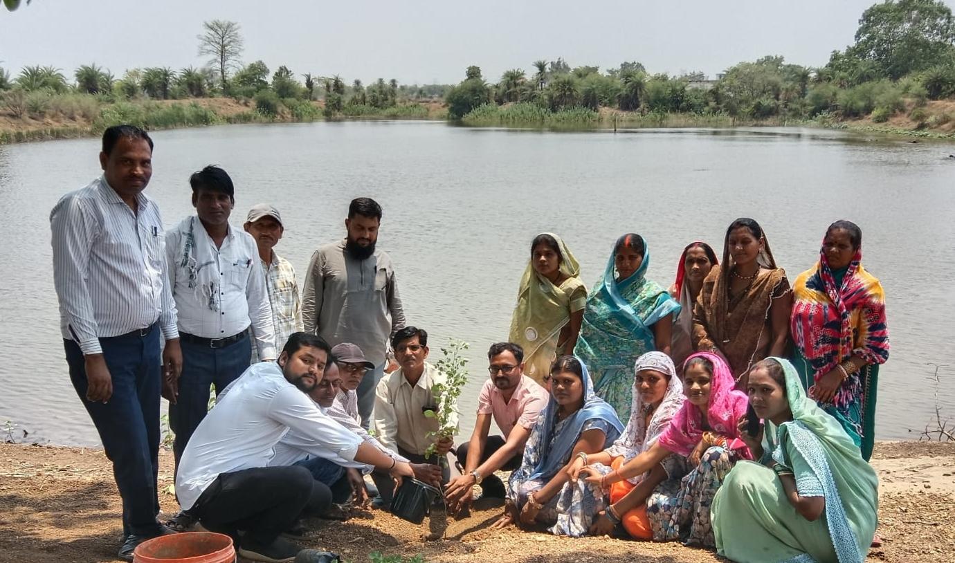 पोड़ के अमृत सरोवर में पौधारोपण व विशेष ग्राम सभा