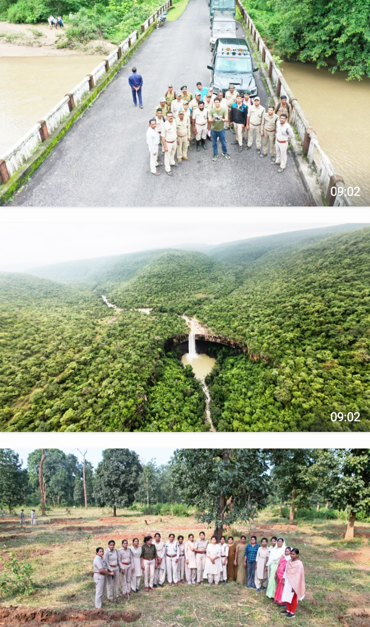  उदंती सीतानदी टाइगर रिजर्व में साढ़े 9 सौ हेक्टेयर जमीन  पर हटाए गए अतिक्रमण, दुर्लभ वन्यजीव पाए गए