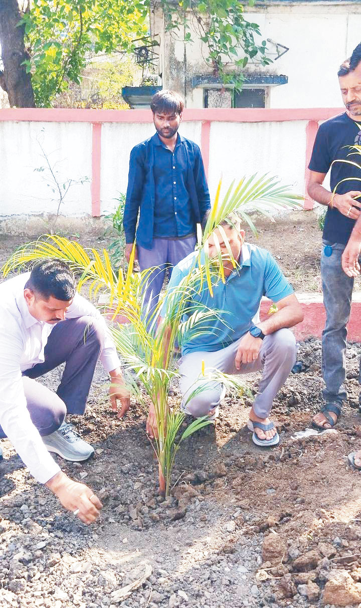 मारवाड़ी युवा मंच के सहयोग से रोपे पौधे