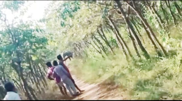 रिहायशी इलाकों में घुसा हाथी-दल