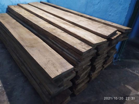 जंगल से 84 सागौन चिरान जब्त