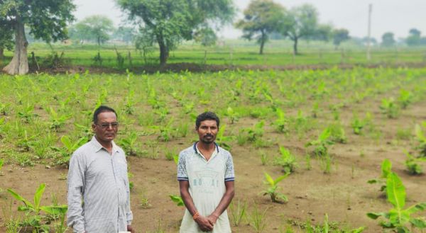 जिले में बढ़ा लघु धान्य फसल एवं दलहन-तिलहन का रकबा