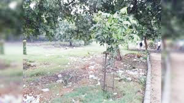 असामाजिक तत्वों का उत्पात, नगरवासी हलाकान पेट्रोलिंग-उद्यानों में चौकीदार की मांग