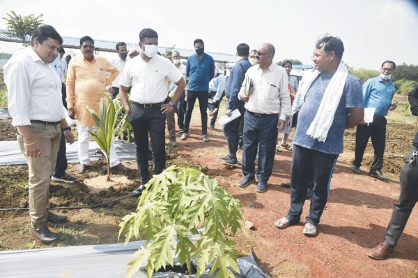 26 एकड़ में बने गौठान में वर्मी कम्पोस्ट-केले की खेती का अवलोकन