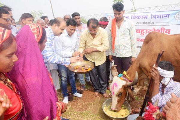 गौठानों में धूमधाम से मना त्यौहार