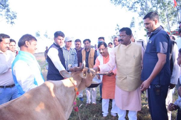 खाद्य मंत्री ने मैनपाट के कई गोठानों में की गोवर्धन पूजा