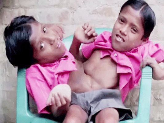  पिता पर लगाए पैसे नहीं देने और प्रताडि़त करने के आरोप, जांच टीम गठित