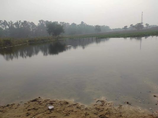 नहाय-खाय के साथ सूर्य उपासना का महापर्व छठ शुरु