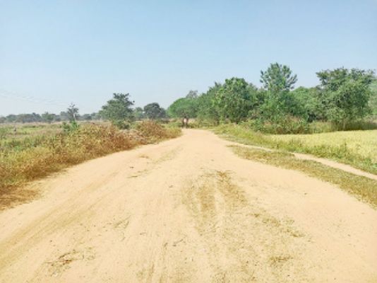 ओडिशा सीमा से लगा राटापाली सडक़ के लिए बरसों से तरस रहा, पैदल चलना भी मुश्किल