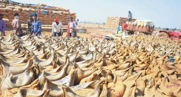  समर्थन मूल्य पर धान उपार्जन, पंजीयन तिथि में बढ़ोतरी की मांग