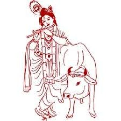 श्री अग्रसेन गौ सेवा सदन अम्बिकापुर में आज गौपाष्टमी की पूजा