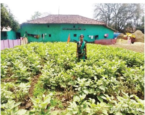 राष्ट्रीय ग्रामीण आजीविका मिशन बना मुरई के आत्मनिर्भरता का आधार