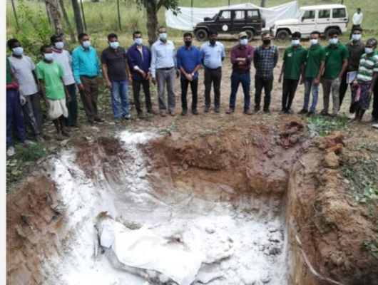 उदंती अभ्यारण में राजकीय पशु वनभैंसे की मौत