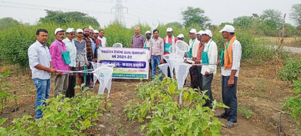 सह मेढ़ों पर अरहर का फसल का प्रदर्शन