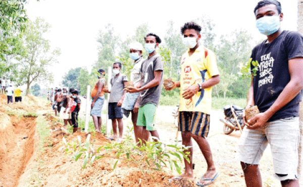 उद्यानिकी-कृषि के कार्य भी मनरेगा से हो सकेंगे