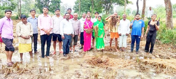 भाजपा किसान मोर्चा ने कलेक्टर के नाम तहसीलदार को ज्ञापन सौंपा