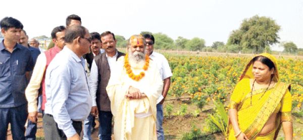    गौ सेवा आयोग के अध्यक्ष ने  वृंदावन गौठान का किया निरीक्षण