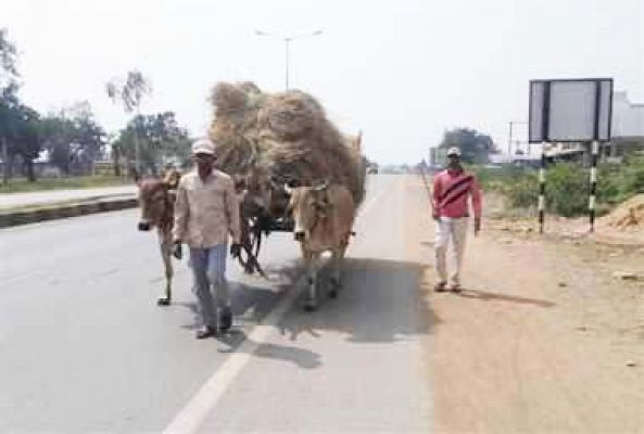 जिले में इस बार 149 केंद्रों में होगी धान खरीदी